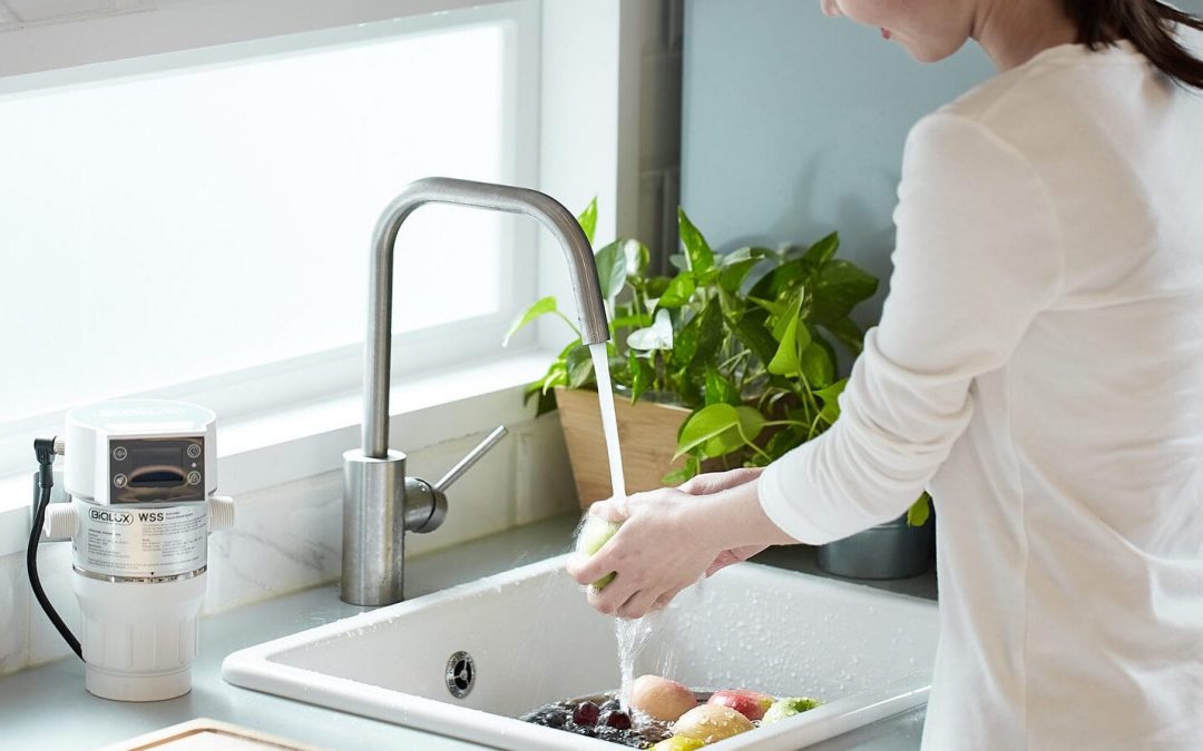 BioSure – Preventing Foodborne Illnesses with Ozone Sanitation for the Kitchen