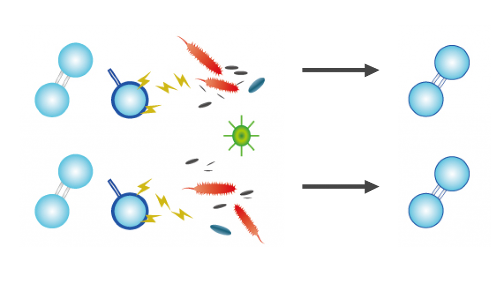 ozone1
